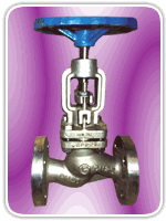 SS Globe Valve in Investment Casting